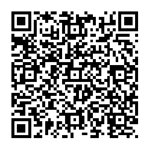 赤尾良田另外一只手便是快速的往身后这么一摆……簌簌簌簌~~便听到一连串这样轻微的声响二维码生成