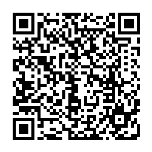 赤焰大帝刚刚毁掉了一片变异嗜血藤显然也是成功的吸引了变异嗜血藤的注意力二维码生成