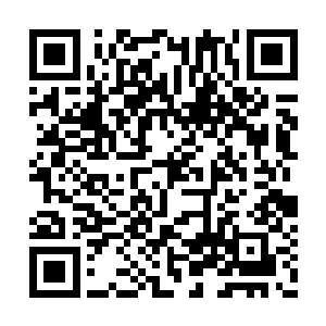 赤焰狮蝠仅是受了叶星的青瞳之眼一眨眼的攻击二维码生成