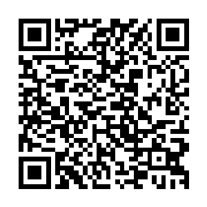 赤脉就正式答应了条件签了协议――赤脉天仙有些淡淡的不甘二维码生成