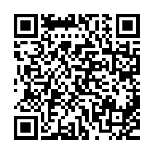 赫然是跟之前的时候他们见到虚影拿出的下品血神丹一模一样二维码生成