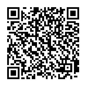 走到了门口一拉开了门就看到一个五彩的身影从开着的门缝里一闪而过二维码生成