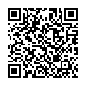 走投无路之下看见张贴在路边的甄选下一任超模的海报二维码生成