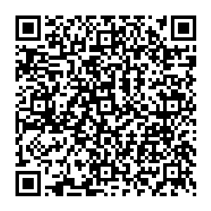走路的时候喜欢在耳朵上塞耳机――参加完秦老爷子八十寿诞回去的路上我们不小心滑进河水里二维码生成