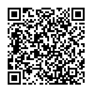 赵东泽五名武王和大批武师大武师抵达黑狼会总部所在的城市脚下之时二维码生成