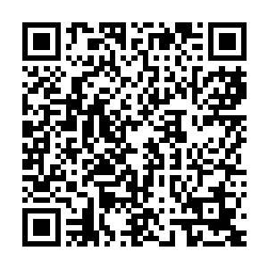 赵信所做的一切已经让赵纯良或多或少对赵信的目的已经有了一些猜测二维码生成