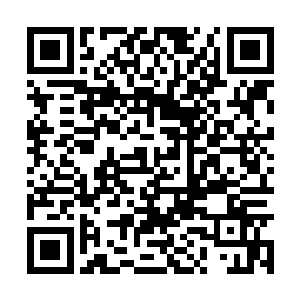 赵十九……我……我……不行了……生不出了……二维码生成