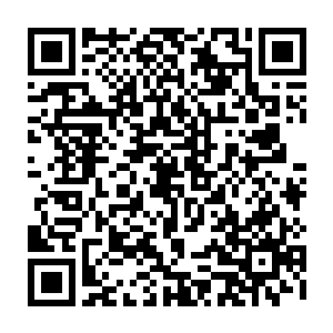 赵半仙便让叶红梅一家召集所有的村民将整个芭蕉林的每一颗芭蕉树都砍倒二维码生成