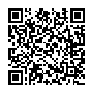 赵家堡的十八个附属家族开始不在听从家族的号令二维码生成