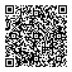 赵建宇将赵纯良放到了手术台上 只见周晴歌拿起一把小小的解剖刀 轻轻一划 就将赵纯良的胸口给划开了二维码生成