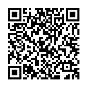 赵旉赵延年带着一群第一次进白虎节堂的皇族正在相互检查铠甲二维码生成