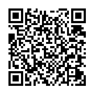 赵梨子拿到苏先生这里细细的解释给苏先生和赵长卿听二维码生成