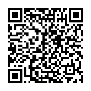 赵琴已经完全适应了校长的职位与这个奢华无比的办公室二维码生成