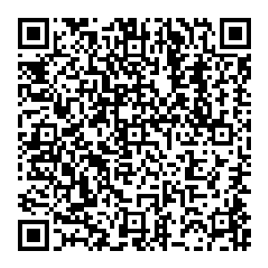 赵纯良一个闪身就躲过了对方的攻击 而后抬起一脚重重的踹在了对方的肚子上 硬生生将对方踹飞出去好几米 重重的撞在了一堵墙上二维码生成