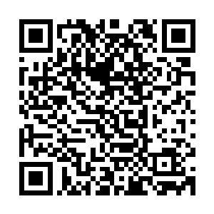 赵纯良专门去了一趟京城的看守所看了一下被暂时羁押的陈玉林二维码生成