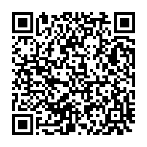 赵纯良也觉得自己不管脑洞再怎么大开也绝对不想不到会在这里碰到Elisa二维码生成