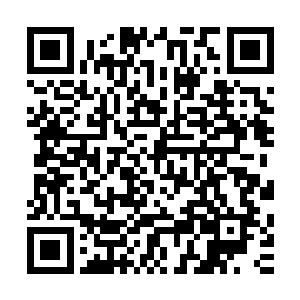 赵纯良从叶建挺的手上接过了那枚比拇指头大上一些的掌门印二维码生成