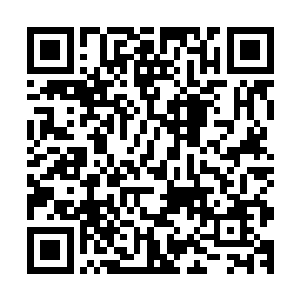 赵纯良刚开始有怀疑过这个和彦雄一是不是故意表现的这样的二维码生成