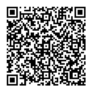 赵纯良微微一愣　看向爱德华朗多　发现爱德华朗多的眼睛十分的清明　好似已经看穿了什么东西一般二维码生成