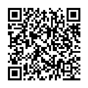 赵纯良总算是经过了简单的治疗被重新送回了病房二维码生成