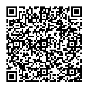 赵纯良的黑伞 整根刺入了石柱之中 从石柱的另外一侧 透体而出 刺入了刚好从那经过的笛卡尔的肚子二维码生成