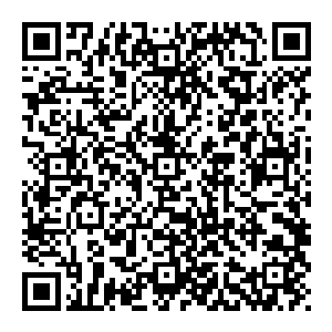 赵纯良面无表情的看着这个中年胖子 他现在的身份摆在那 自然不用对什么人都笑脸相迎 更何况现在还很不爽的情况下二维码生成