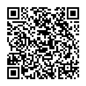 赵虎已经彻底的把自己现在这副身躯和以前的战斗经验融合在一起二维码生成