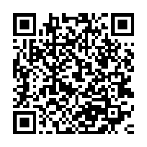 赵长卿不会一接手这差使就急吼吼的先去找小梨花儿预订果篮二维码生成