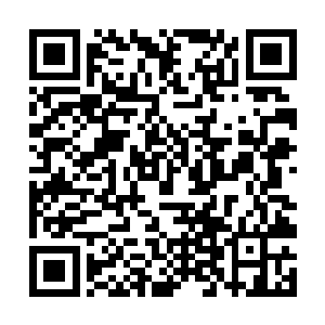 赵长枪可不是第一次听警察用这种语气和自己说话了二维码生成