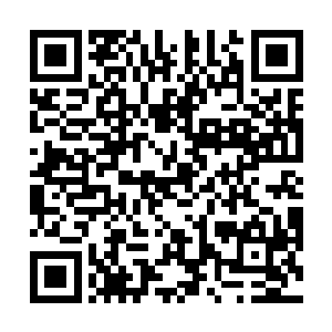 赵长枪忽然听到从旁边的走廊里传出一声凄厉的惨叫声二维码生成