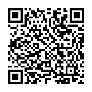 赵长枪最后才拨通了燕京望城山涉毒案专案组组长刘丙强的电话二维码生成