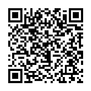 赵长枪相信洪亚伦和医生绝不会眼睁睁的看着车间被拉倒二维码生成