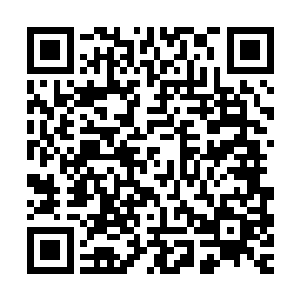赵雨华依然仿佛是完全没有感受到那些学生们的异样的目光一般二维码生成