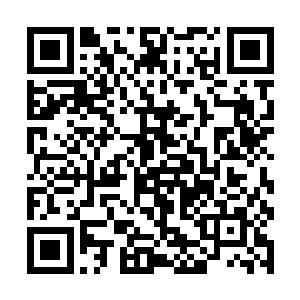 赵非和司空无畏好像已经成了镇乙殿和镇丙殿的殿主二维码生成