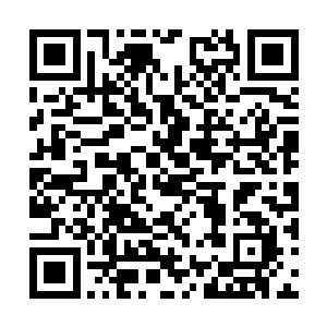 赶紧过来……把你们家里这一对疯狗给我撵走……二维码生成
