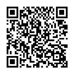 起因是我们太玄宗的内门普通弟子和万剑峰的内门普通弟子二维码生成