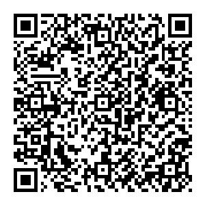 起码在现在的条件下必须做基因检测――不可能无差别地分发876号化合物……876号化合物对于没有基因的人来说这是致命的毒物――二维码生成