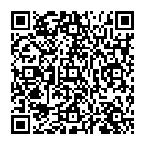 起码对于今天的听众王世子跟尼尔斯来说在他们的有生之年或许绝对无法看到这番景象二维码生成