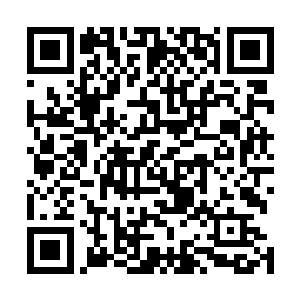 起码此刻脑海中再一次出现将君无极虐得生不如死的画面二维码生成