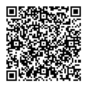 趁主人不在时完成盗取灵树――听说这铁树里有着外域蛮荒时代保存下来最后一缕纯净无损青源二维码生成