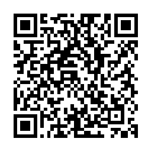 趁他不备一把圈住他的脖子倾身过去在他的嘴唇上狠狠啄了一口二维码生成