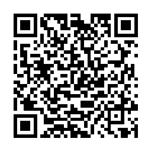 趁他还在发愣就取走了他仍定格握在手中的通透玉瓶二维码生成