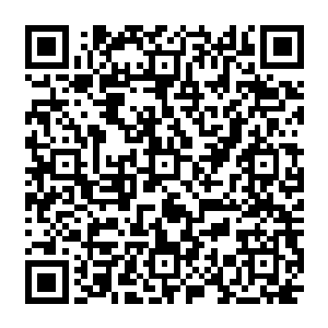 趁着微微的光亮叶秋看到那条全身通红的恶狗正在朝他恶狠狠的狂吠像是要把人撕烂似的二维码生成