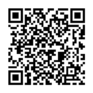 趁着满满一电梯的随从挤在这个空间不大的vip电梯里面二维码生成