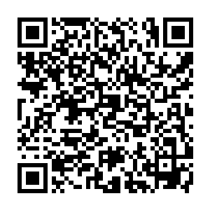 超市里的无公害蔬菜蔬菜其实只是卖的时候农药残余之类的是符合标准的而已二维码生成