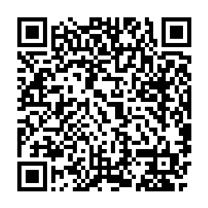 超级势力联盟的仙君期修士完全被许家和楚家的仙君期修士纠缠住二维码生成