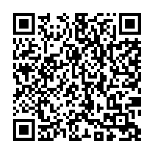 超过一千束锐不可当的玄光瞬间在原始森林中掀起了无数道冲击波和气浪二维码生成