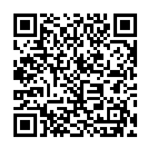 越南北部的各地义军开始发动了反抗法国殖民统治的暴动二维码生成