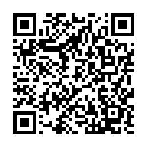 足以让任何一个华尔街风投企业把赌注押在雨果身上二维码生成