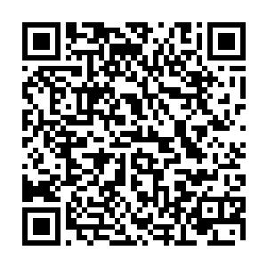 足以让这些曾经威风赫赫的修真门派长老和掌门们一句反抗的话语都不敢说二维码生成